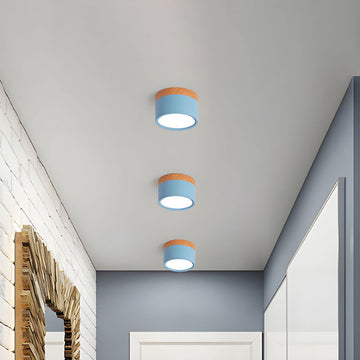 Modern Cylinder LED Flush Ceiling Light – Minimalist Aluminium Fixture for Hallway or Lounge