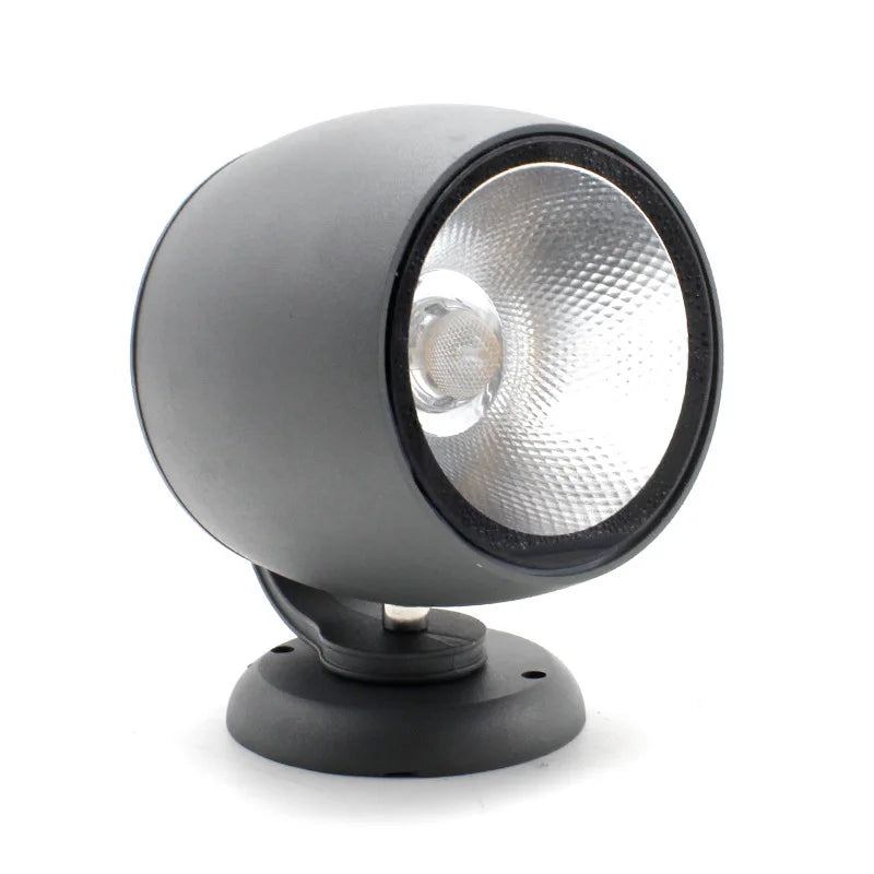 Garden Pathway Spotlight | Matte Black Metal & Clear Glass | Energy-Efficient LED | Outdoor Garden Use