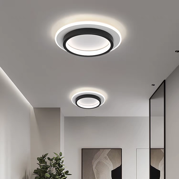 Modern Flush Mount LED Ceiling Light – Minimalist Round Acrylic Design, 3 Colour Modes