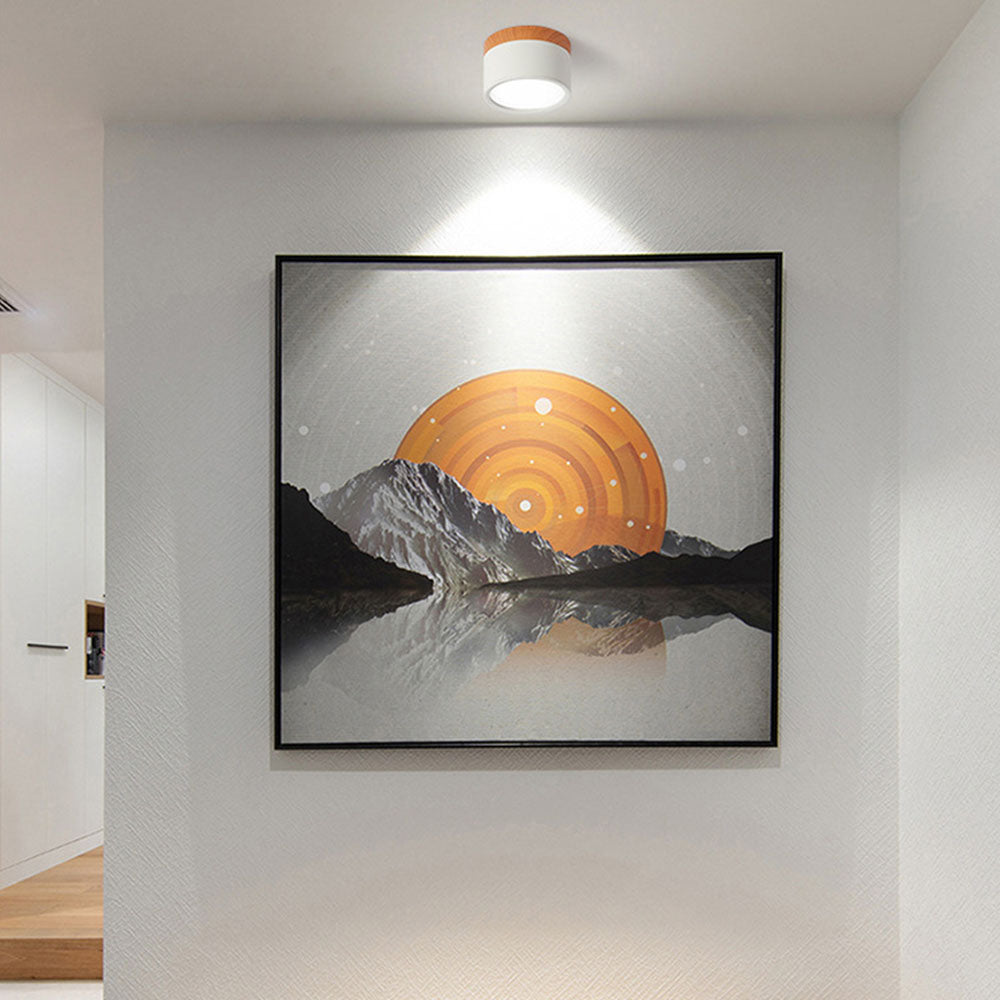 Modern Cylinder LED Flush Ceiling Light – Minimalist Aluminium Fixture for Hallway or Lounge