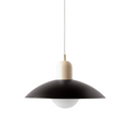 Pendant Lamp | Metal | Wide Dome Shade & Matte Finish | Modern Living Room
