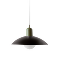 Pendant Lamp | Metal | Wide Dome Shade & Matte Finish | Modern Living Room