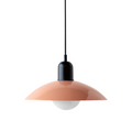 Pendant Lamp | Metal | Wide Dome Shade & Matte Finish | Modern Living Room