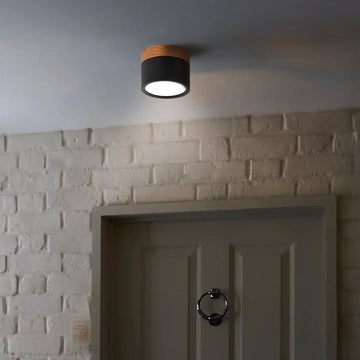 Modern Flush Mount LED Ceiling Light – Compact Weatherproof Aluminium Fixture for Porch & Hallway