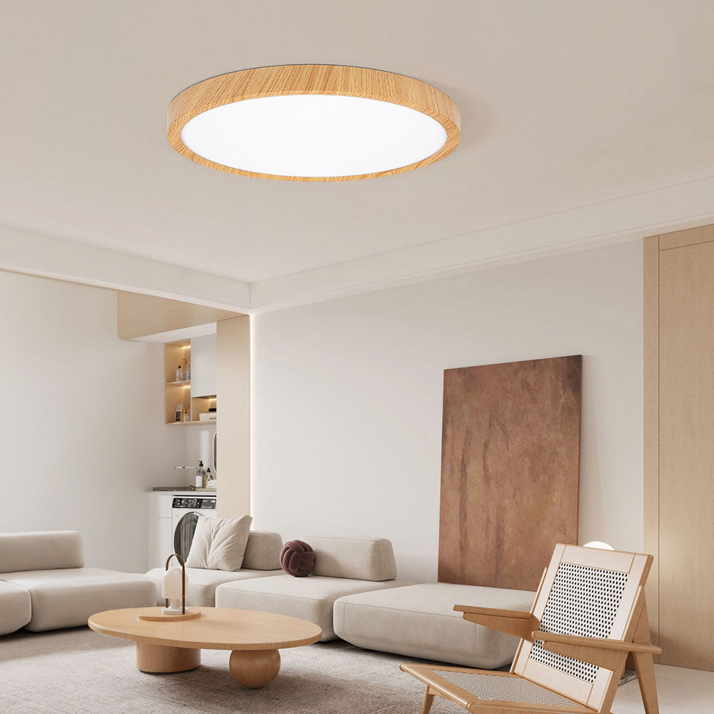 Modern Flush Mount LED Ceiling Light – Minimalist Acrylic Round Fixture