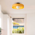 Flush Mount Ceiling Light | Frosted Glass & Matte Black Metal | Amber-Tinted Ring | Living Room Accent