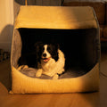 Dog Bed | Flannel & Plush Fabric | Enclosed Design | Home Sanctuary