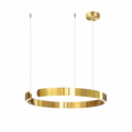 Pendant Lamp | Brushed Metal & Polished Metal | Circular Silhouette | Urban Living Space