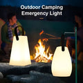 Table Lamp | Frosted Glass & Brushed Metal | Wireless Dimmable LED | Indoor Outdoor Ambient Lighting