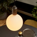 LED Light Bulb | Frosted Glass & Metal | Soft Warm Glow | Modern Living Room