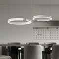 Pendant Lamp | Brushed Metal & Polished Metal | Circular Silhouette | Urban Living Space
